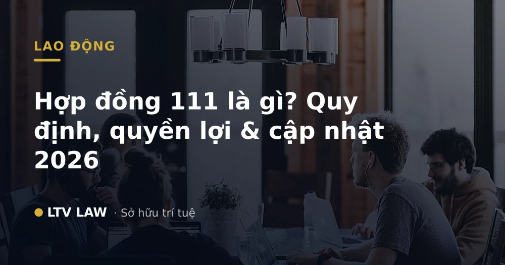 Hợp đồng 111 là gì? Quy định, quyền lợi & cập nhật 2026