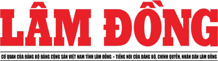 Báo Lâm Đồng viết về LTV Law