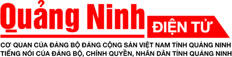 Báo Quảng Ninh viết về LTV Law