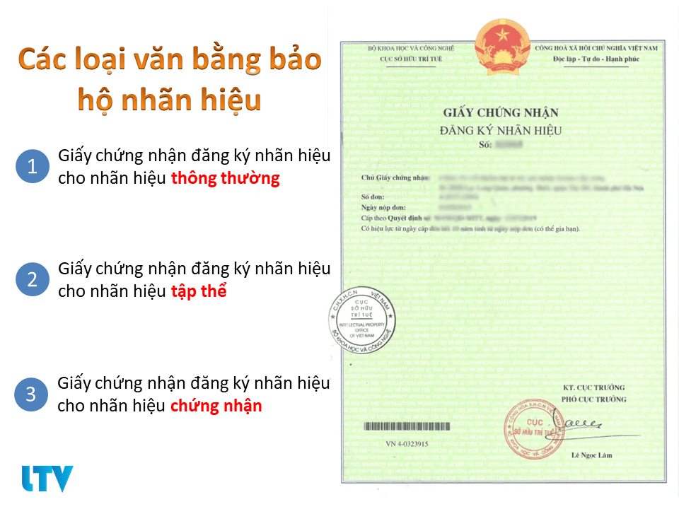 các loại văn bằng bảo hộ nhãn hiệu